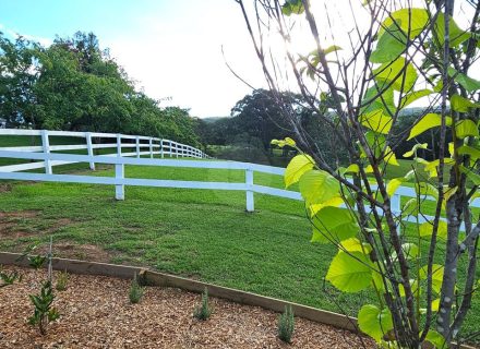 Aurelle, Kurrajong-32