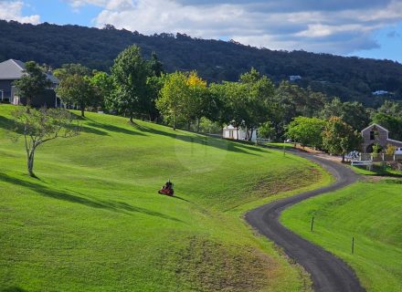 Aurelle, Kurrajong-39