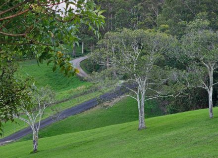 Aurelle, Kurrajong-40