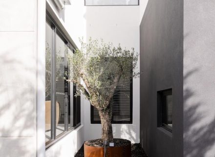 Auric House, Glenhaven-83