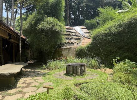 BAMBU INDAH, UBUD104