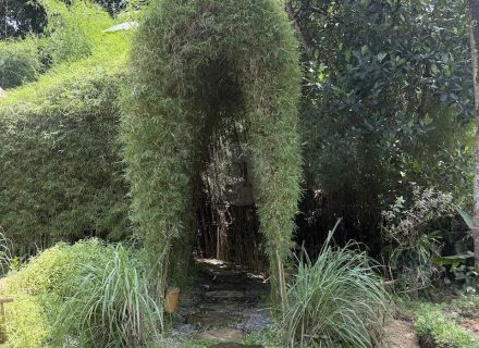 BAMBU INDAH, UBUD105