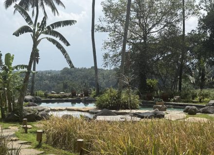 BAMBU INDAH, UBUD110