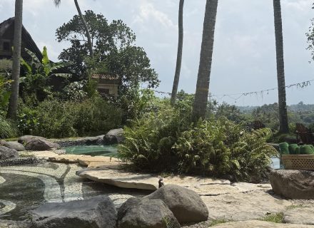 BAMBU INDAH, UBUD113