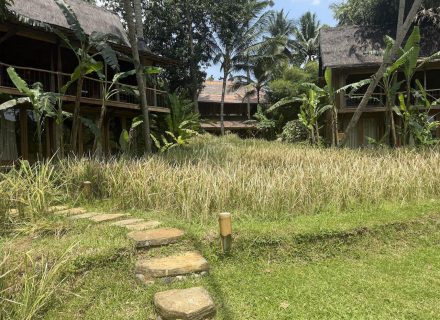 BAMBU INDAH, UBUD115