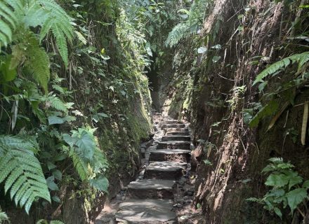 BAMBU INDAH, UBUD134
