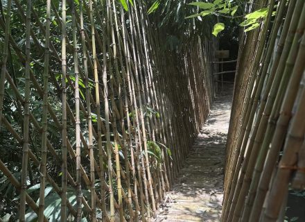 BAMBU INDAH, UBUD136
