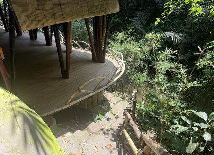 BAMBU INDAH, UBUD139