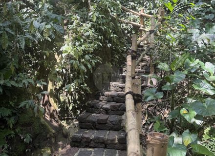 BAMBU INDAH, UBUD146