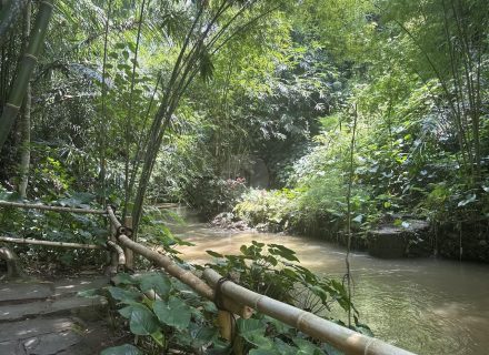 BAMBU INDAH, UBUD149