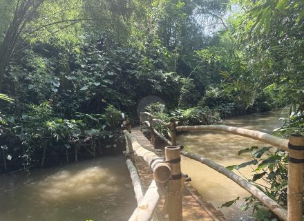 BAMBU INDAH, UBUD151