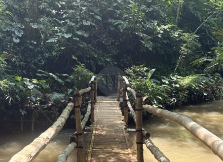 BAMBU INDAH, UBUD152