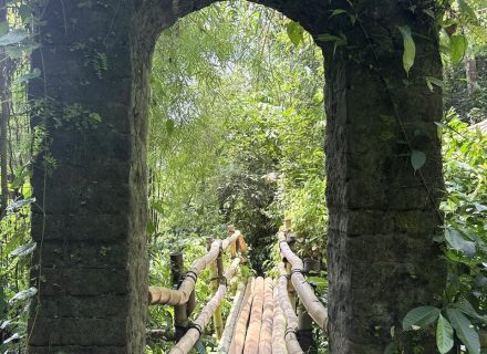 BAMBU INDAH, UBUD157