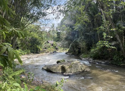 BAMBU INDAH, UBUD172