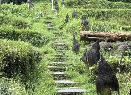 BAMBU INDAH, UBUD177