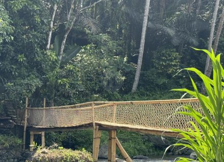 BAMBU INDAH, UBUD188