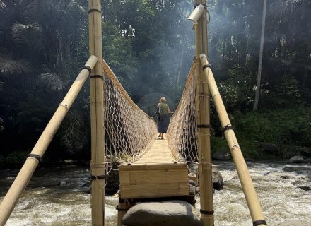 BAMBU INDAH, UBUD190