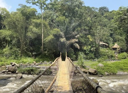 BAMBU INDAH, UBUD193