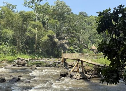 BAMBU INDAH, UBUD194