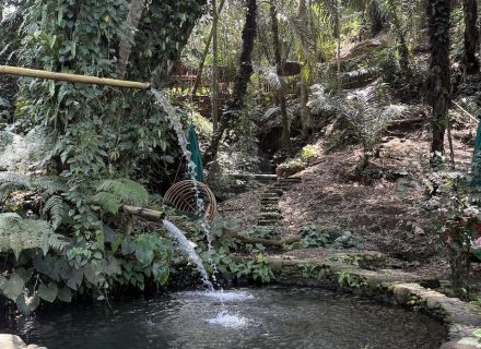 BAMBU INDAH, UBUD196