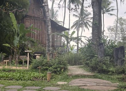 garage driveway backyard