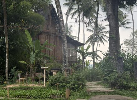 BAMBU INDAH, UBUD215