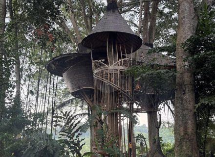 BAMBU INDAH, UBUD217