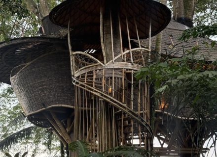 BAMBU INDAH, UBUD218