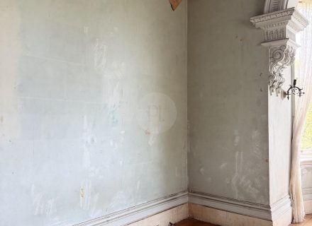 BILLING MANSION81