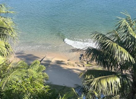 Barefoot Oasis, Bundeena 4