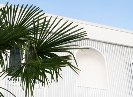 Barewood Haven, Palm Beach-14