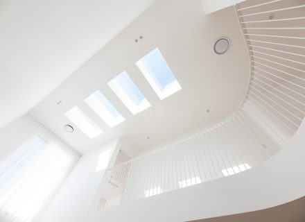 Barewood Haven, Palm Beach-29