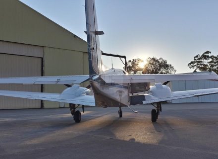 backyard garden established pool