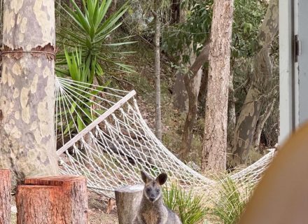 Baywatch, Lovett Bay-05