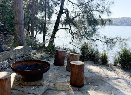 outdoor area garden established backyard