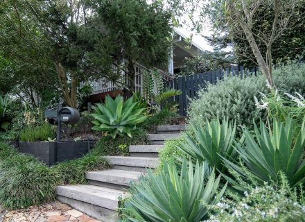 The Beekeepers Cottage, Berowra 6