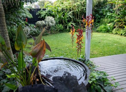 The Beekeepers Cottage, Berowra 8