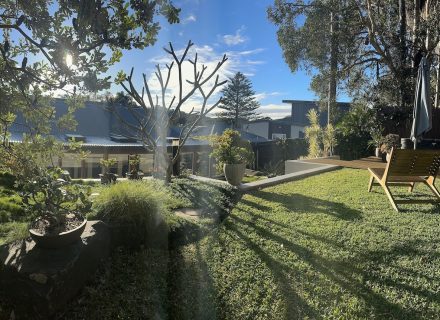 outdoor area backyard