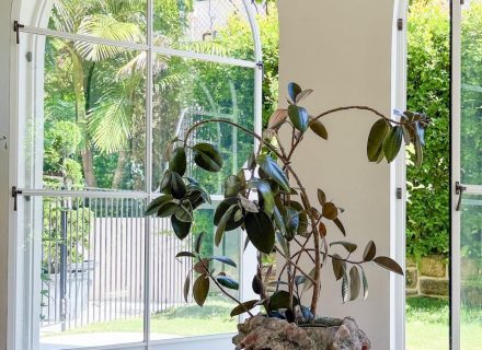 Belle Rives, Bellevue Hill 109