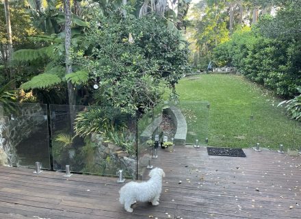 backyard garden established pool