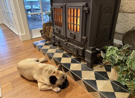 Betty fireplace10