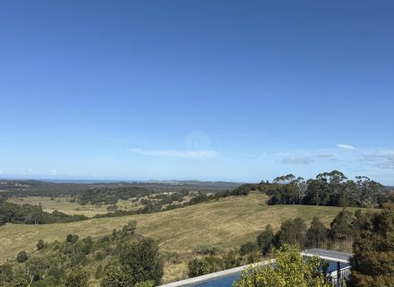 BgS1G