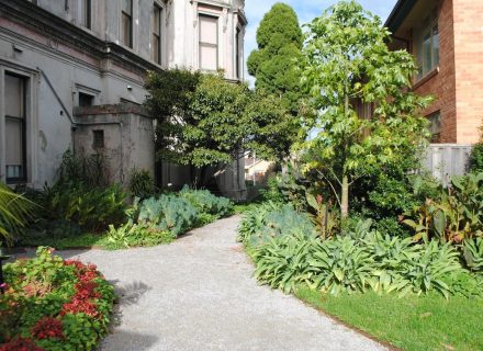 backyard garden established pool