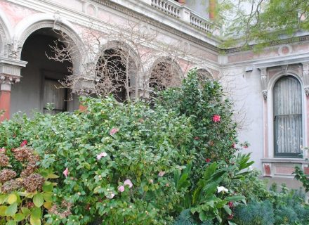 Billing Mansion 17