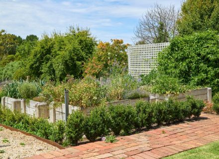 Birralee, Red Hill South-10