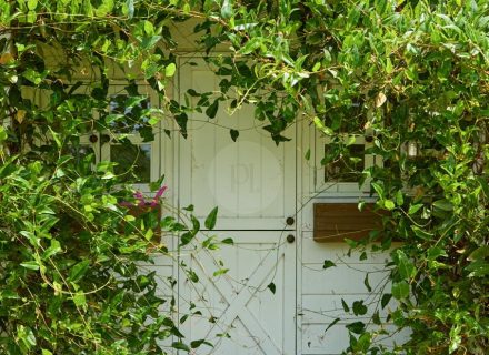 Birralee, Red Hill South-16