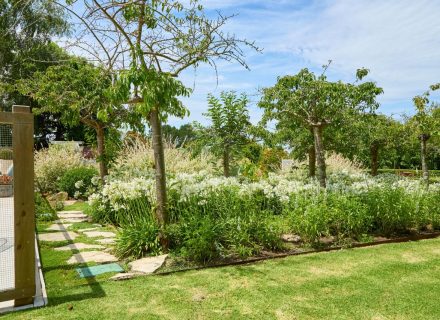 Birralee, Red Hill South-18