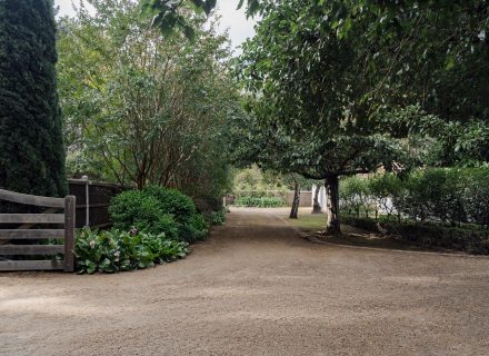 driveway garden established garage