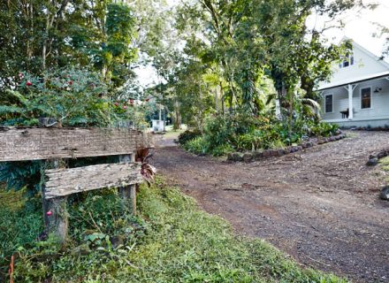 driveway