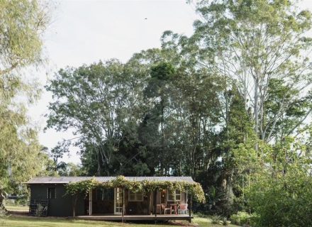 Blanca, Byron Bay Hinterland-01